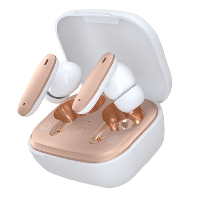 Waterdicht Ipx4-Lawaai die het Draadloze Stereogeluid van Bluetooth annuleren Earbuds