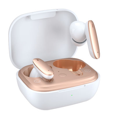 HIFIlawaai die de Draadloze Waterdichte Dubbele Spaanders van Bluetooth annuleren Earbuds IPX4
